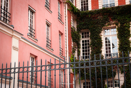 Paris 22 | Le Marais 4